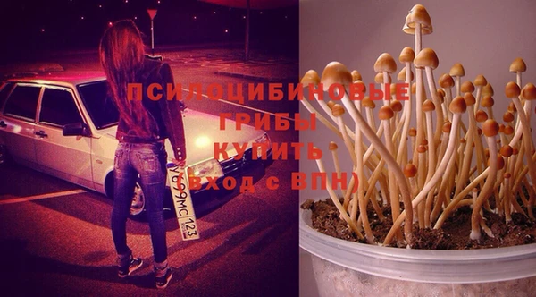 кокс Богданович
